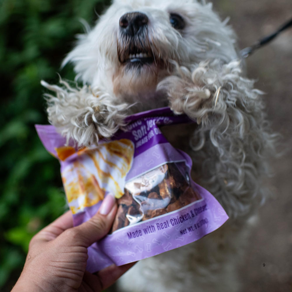 Récompense quotidienne avec Loving Pets Soft Jerky sans céréales
