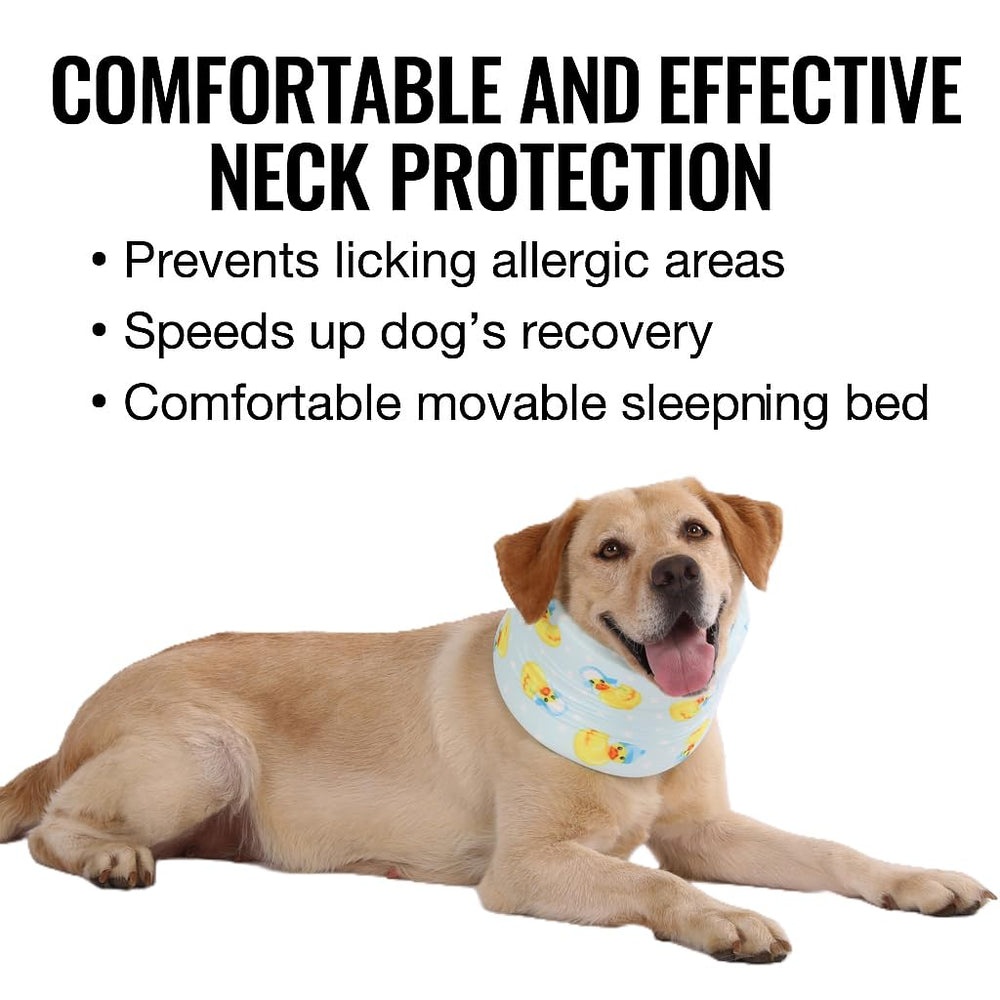 LovinPet Collier confort quotidien léger, permet manger et dormir normalement