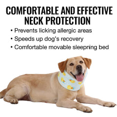 LovinPet Collier confort quotidien léger, permet manger et dormir normalement