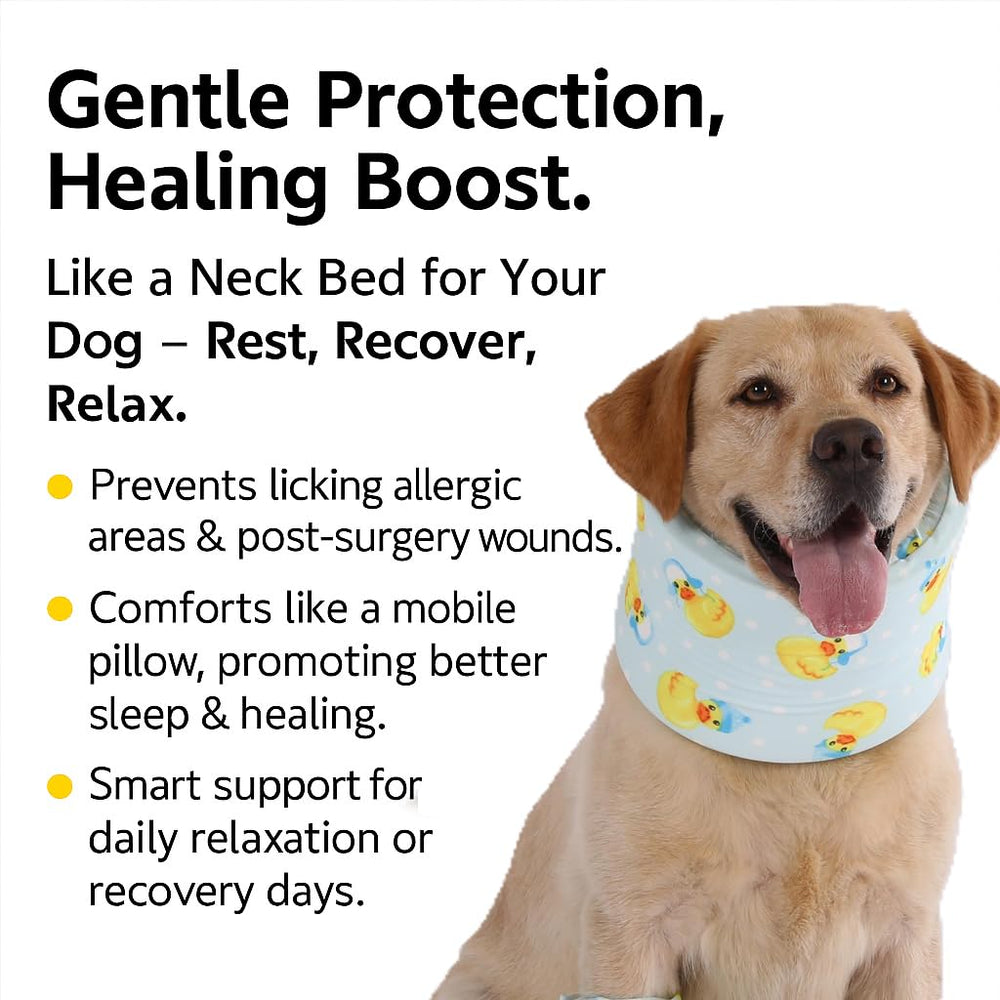 LovinPet Collier lavable en totalité, sans pièces à retirer