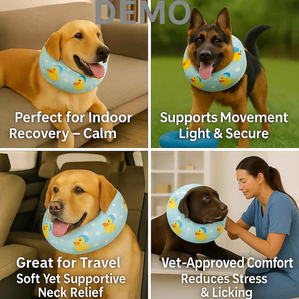 LovinPet Collier mémoire seche lentement, idéal après lavage