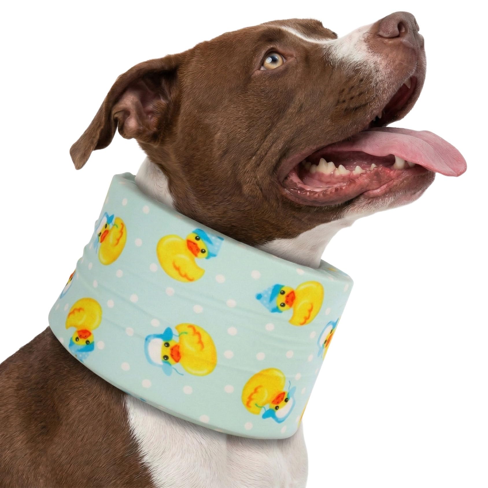 LovinPet Collier Recovery avec mousse mémoire, confort doux pour chien en récupération
