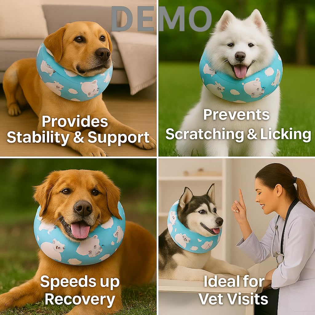 LovinPet collier-recovery-hippos-zoo-bleu: design ludique et confort pour votre chien.