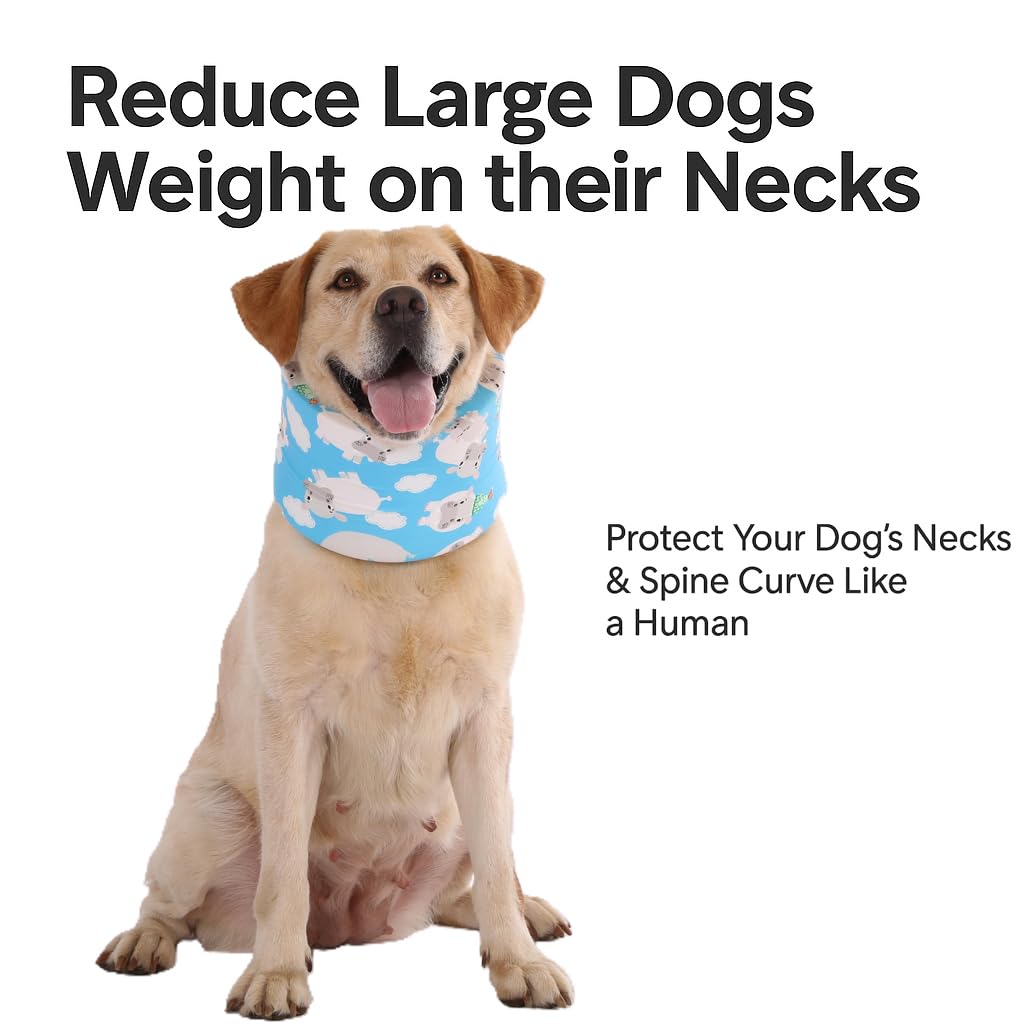 Entretien facile : le collier LovinPet est lavable en une pièce.