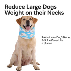 Entretien facile : le collier LovinPet est lavable en une pièce.