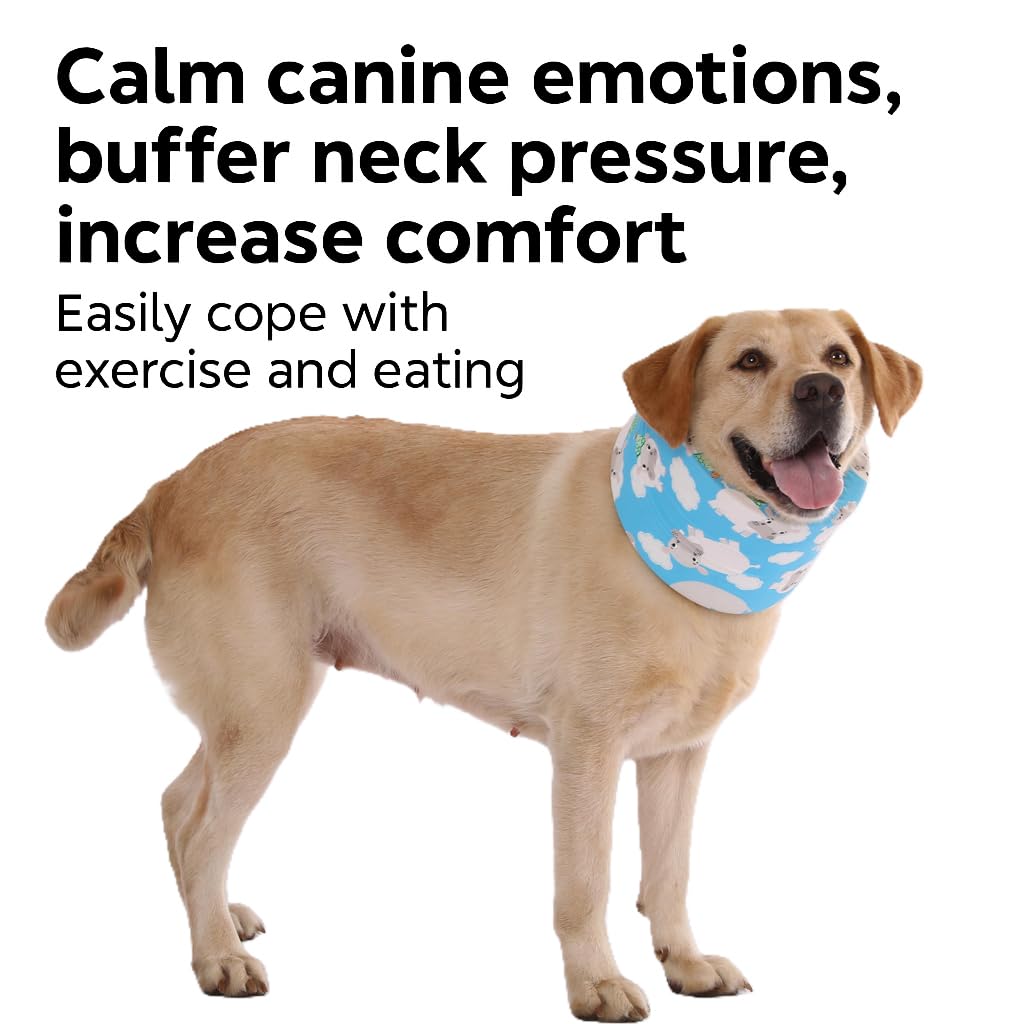 LovinPet collier-recovery-usage-quotidien-bleu pratique et confortable.