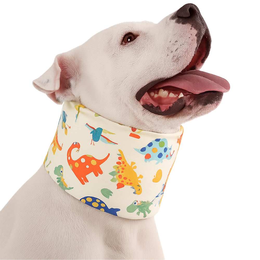 LovinPet collier-recup chien jaune, imprimé dinosaure, confort post-opératoire.