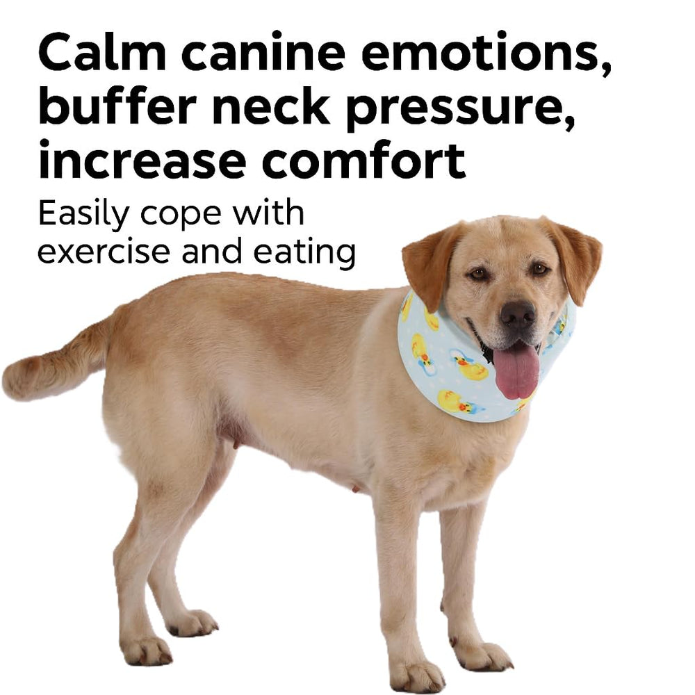 LovinPet collier quotidien prêt à l’emploi, stimulation douce pour chien