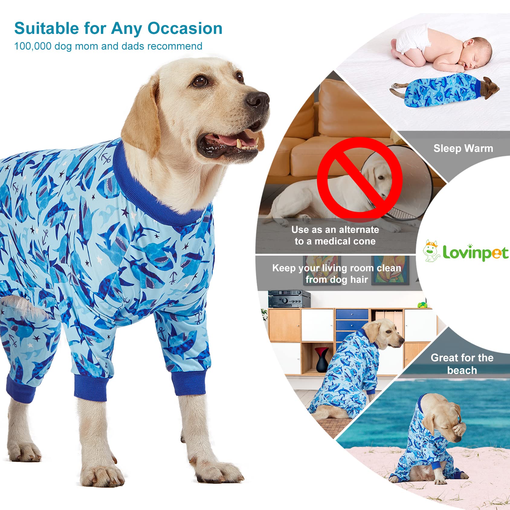 LovinPet combinaison anti-cône chien, solution pratique de récupération.
