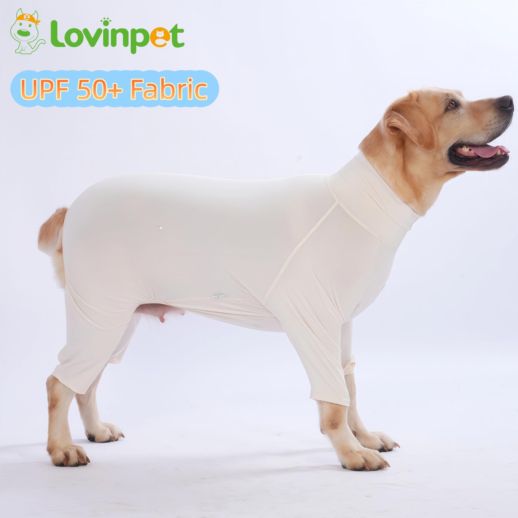 LovinPet elasticite-quatre-directions, offre une grande liberté de mouvement pour chien actif.