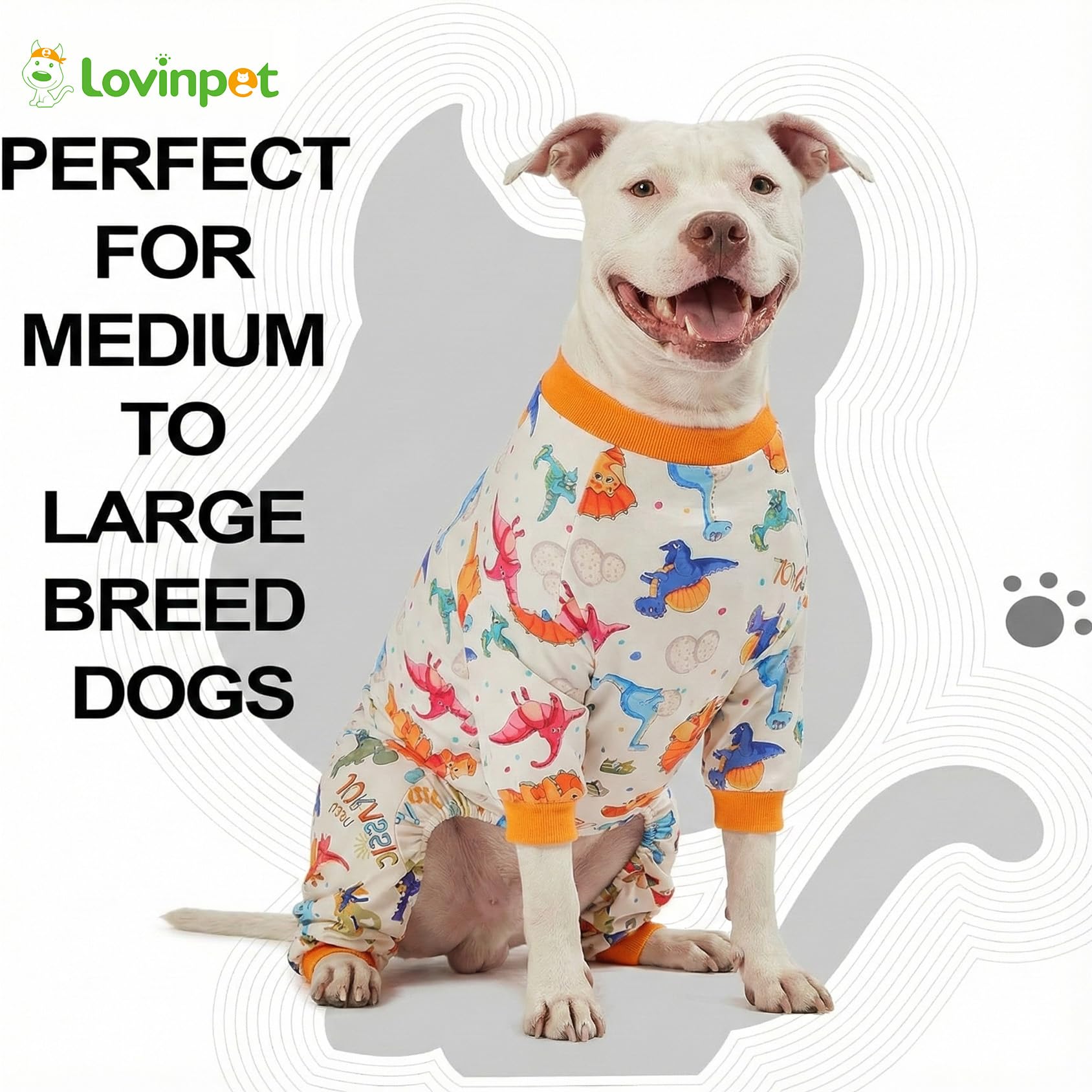 LovinPet imprimé-dino-oeufs, style ludique pour photos et jeux.