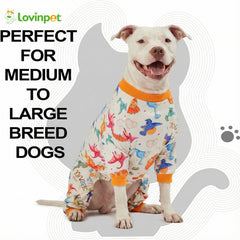 LovinPet imprimé-dino-oeufs, style ludique pour photos et jeux.