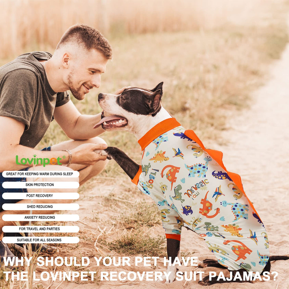 LovinPet look dinosaure chien adapté aux fêtes et sorties.