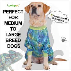 Motif animal LovinPet bleu sur le torse, accentuant le style.