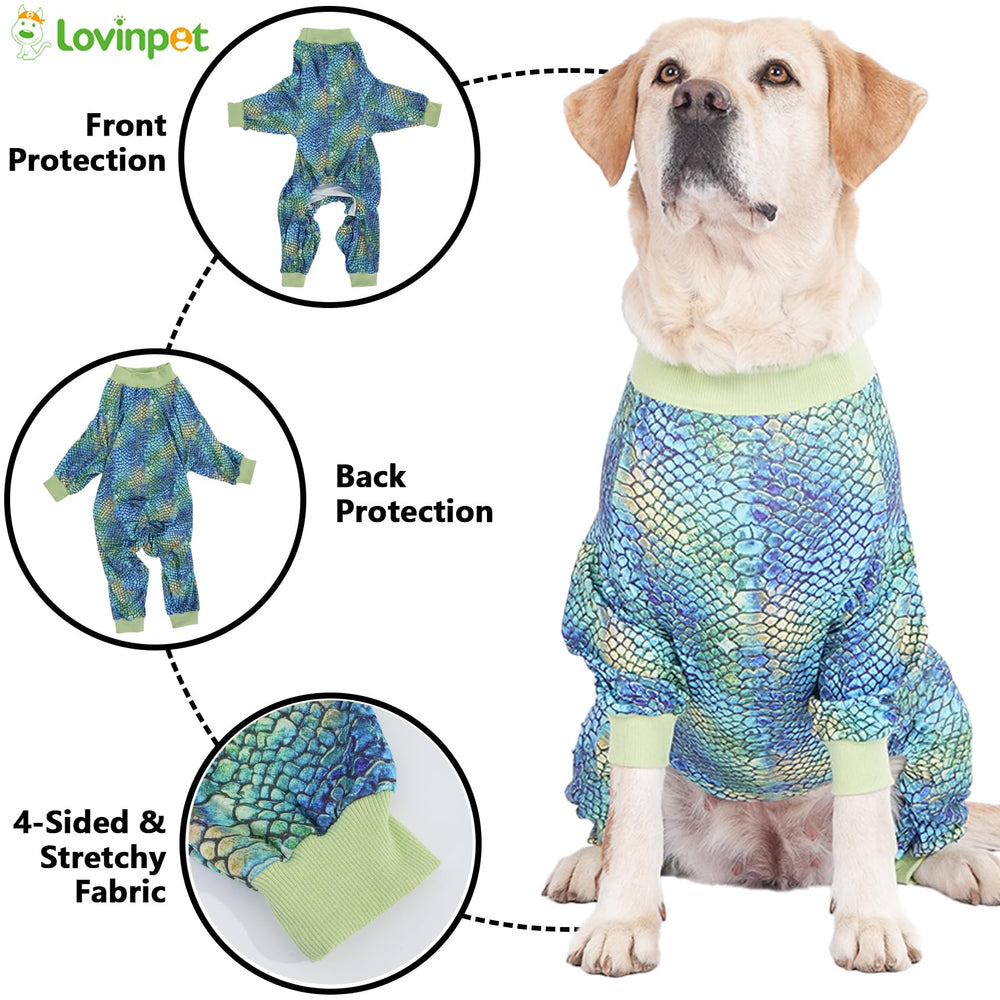 Look prêt pour les photos avec LovinPet bleu, idéal pour événements.