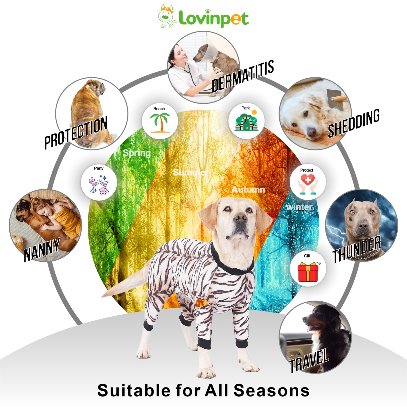 LovinPet pyjama chien grand impression animal photos, met en valeur le look lors des séances.