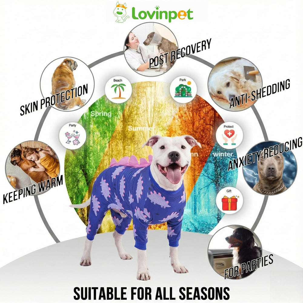 Poignets extensibles LovinPet assurant un maintien sûr sans gêner les mouvements