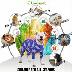 Poignets extensibles LovinPet assurant un maintien sûr sans gêner les mouvements