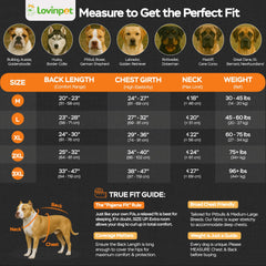 LovinPet pyjamas gros chien, matière stretch extensible offrant mobilité quotidienne.
