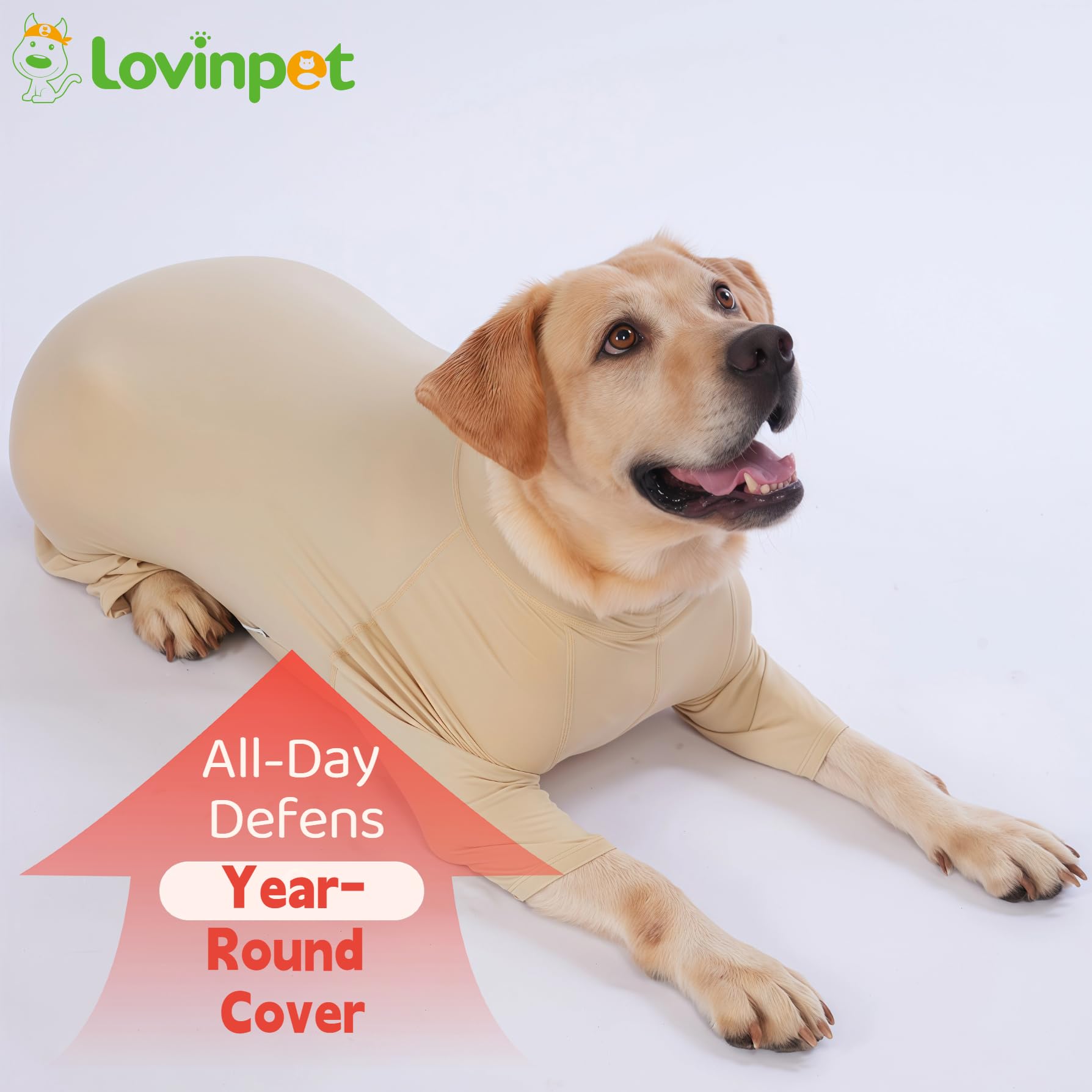 LovinPet UPF50+ shirt: couche de base légère pour l'hiver.