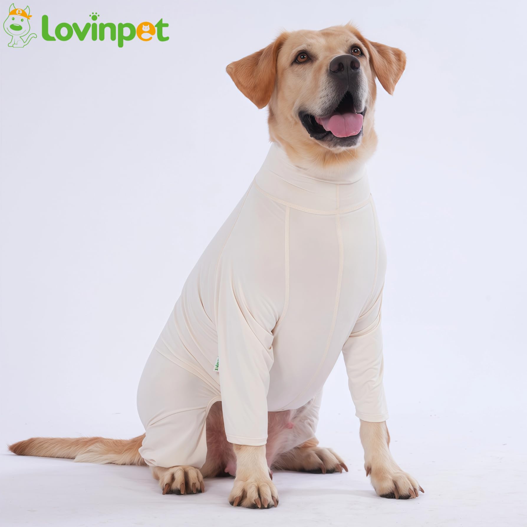LovinPet utilisation-quotidienne-chien, parfait pour promenades et jeux en plein air.