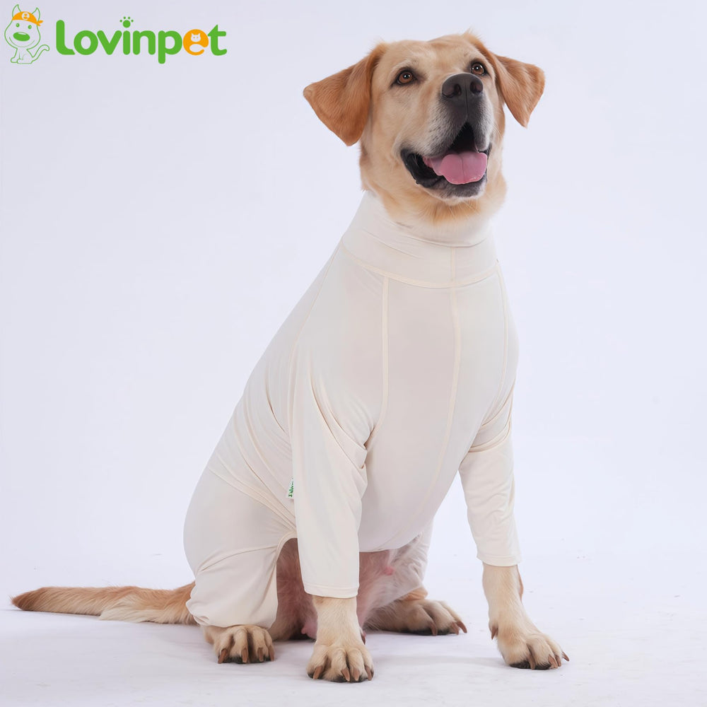 LovinPet utilisation-quotidienne-chien, parfait pour promenades et jeux en plein air.