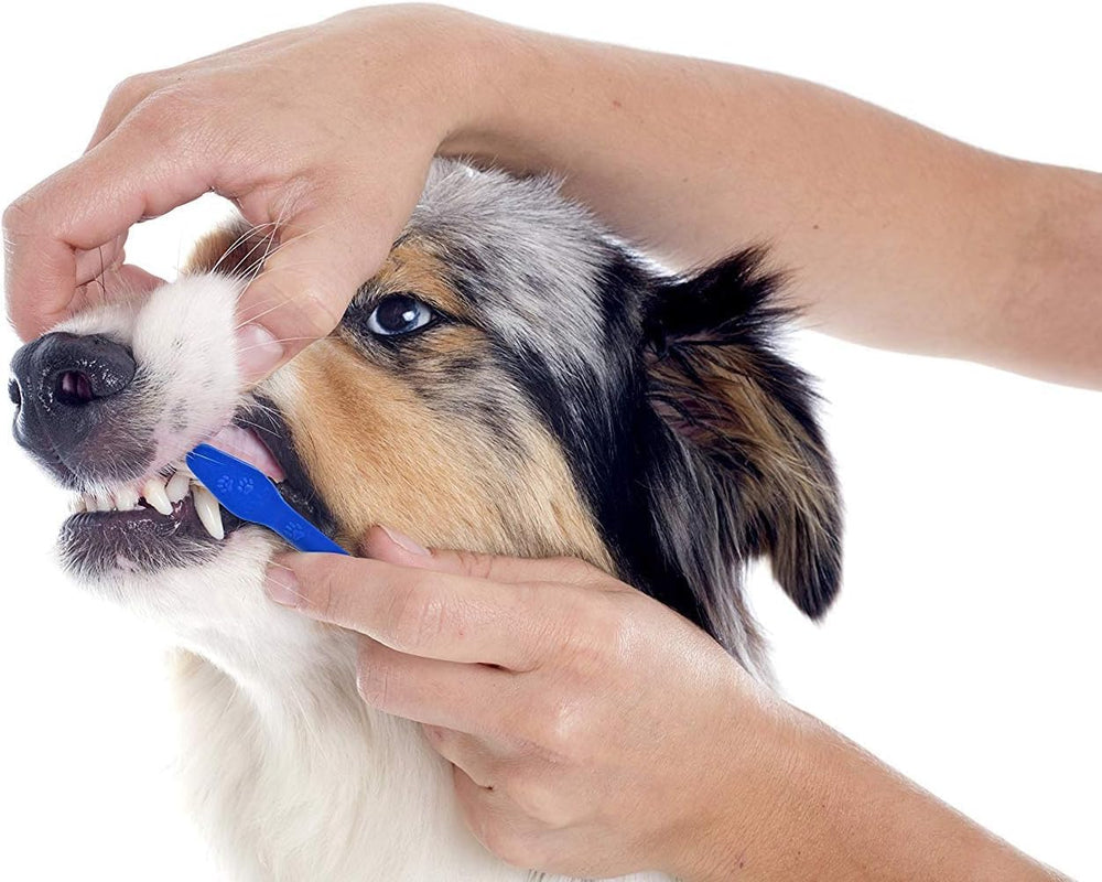 La brosse LOVINPUP offre un accès facilité aux zones difficiles.