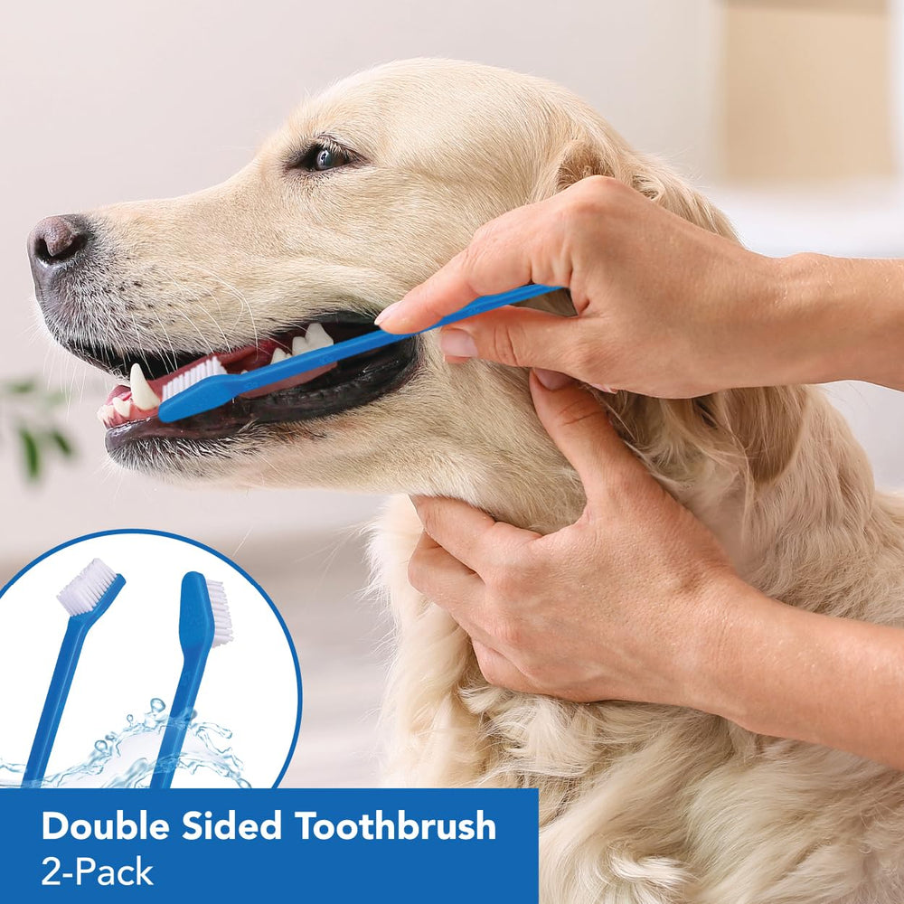 La brosse LOVINPUP double-face pour petits chiens et chats cible les zones sensibles.