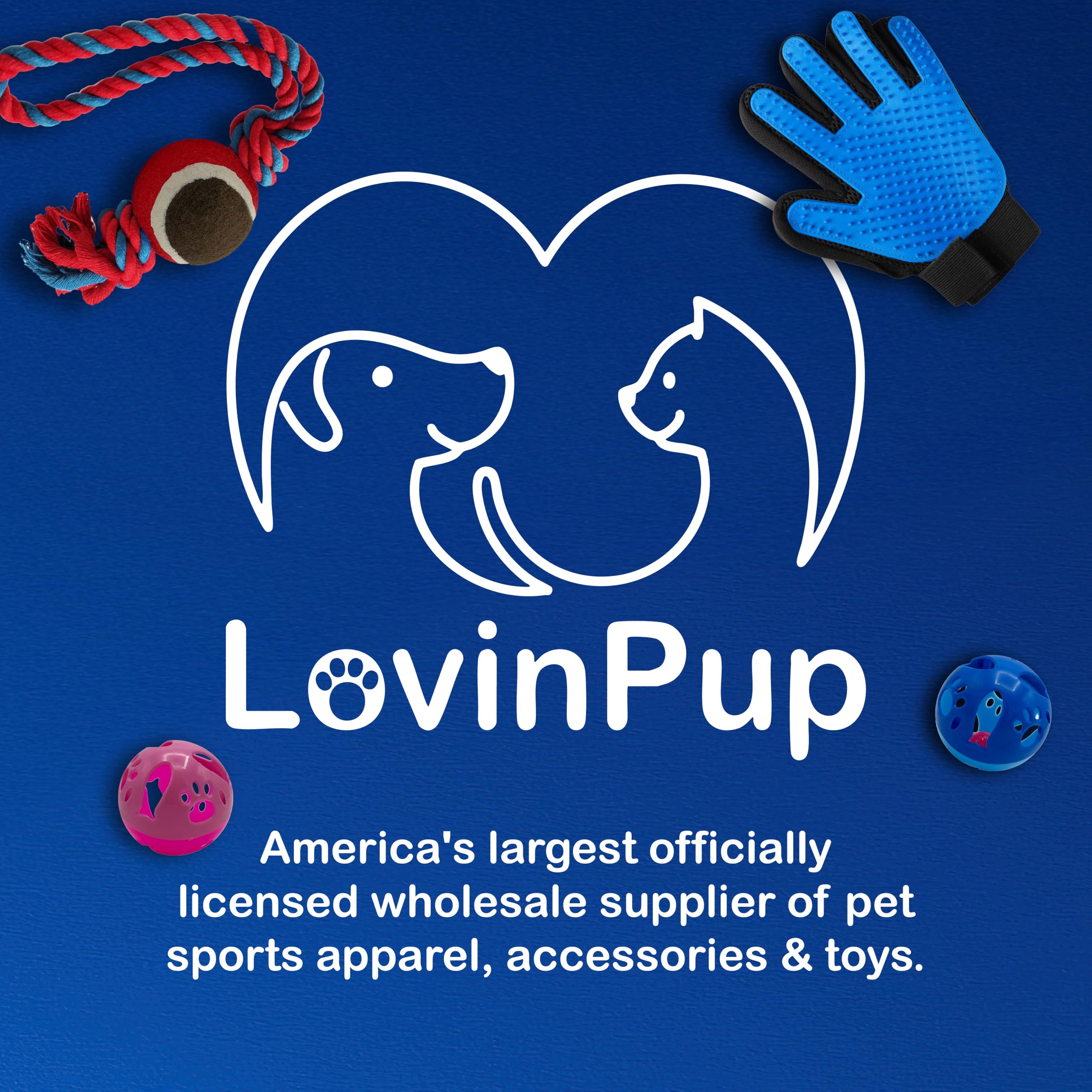 LOVINPUP Pet Mat Remover: bords arrondis pour démêlage en douceur.