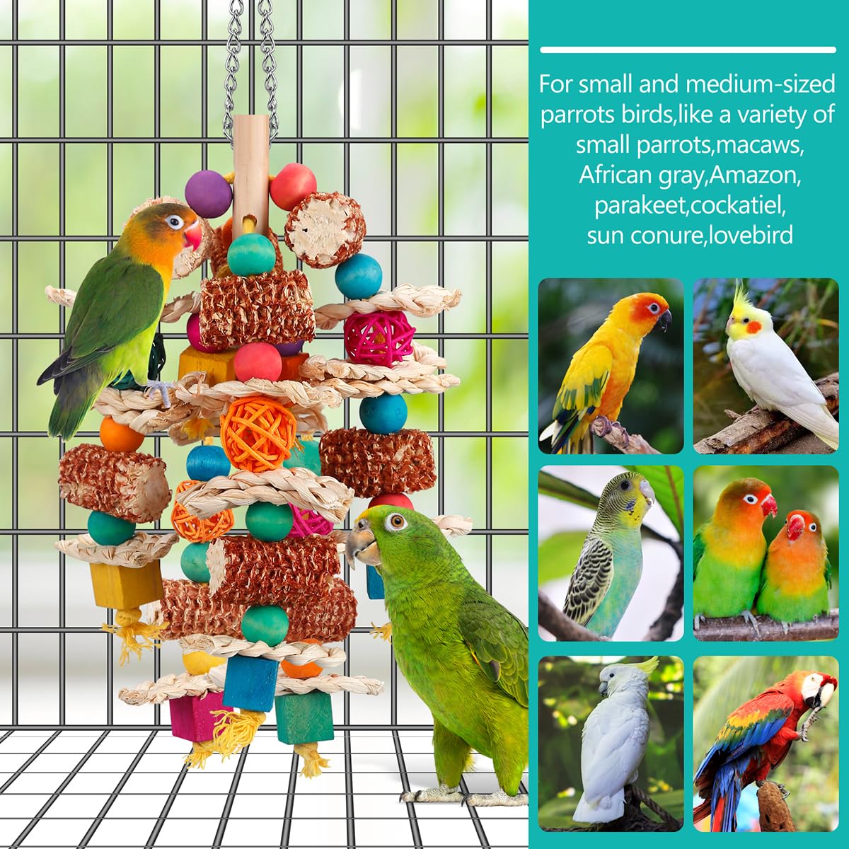 Jouet lovyoco-co adapté à plusieurs espèces d'oiseaux