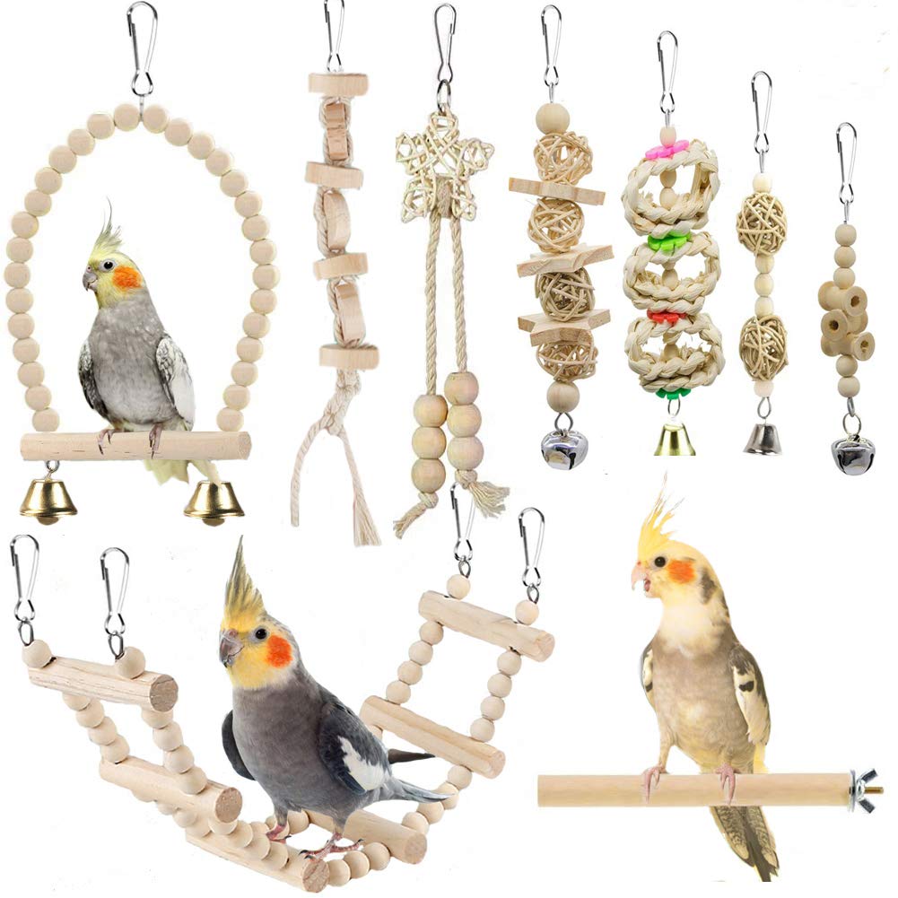 Jouets mordants lovyocoCo: stimulation mentale et divertissement sain pour vos oiseaux.