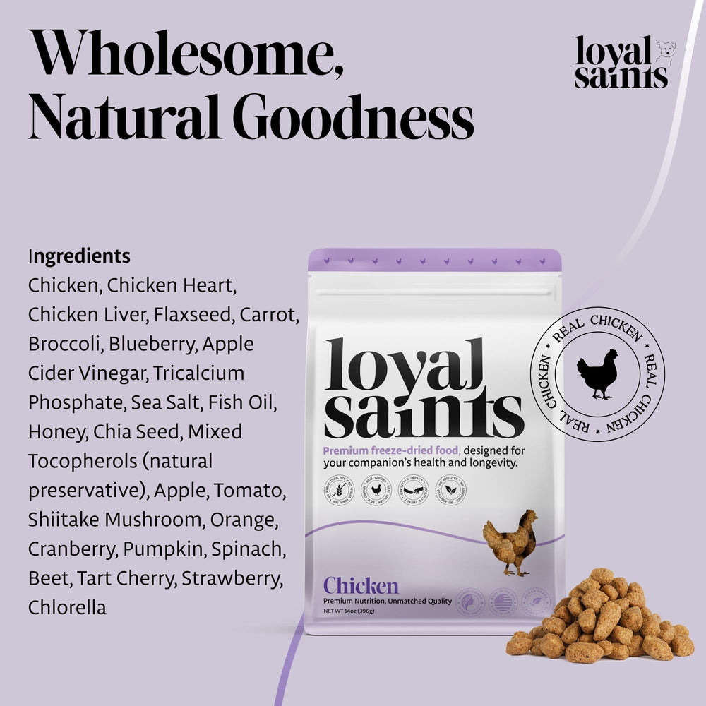 Repas savoureux pour chiens difficiles avec Loyal Saints poulet
