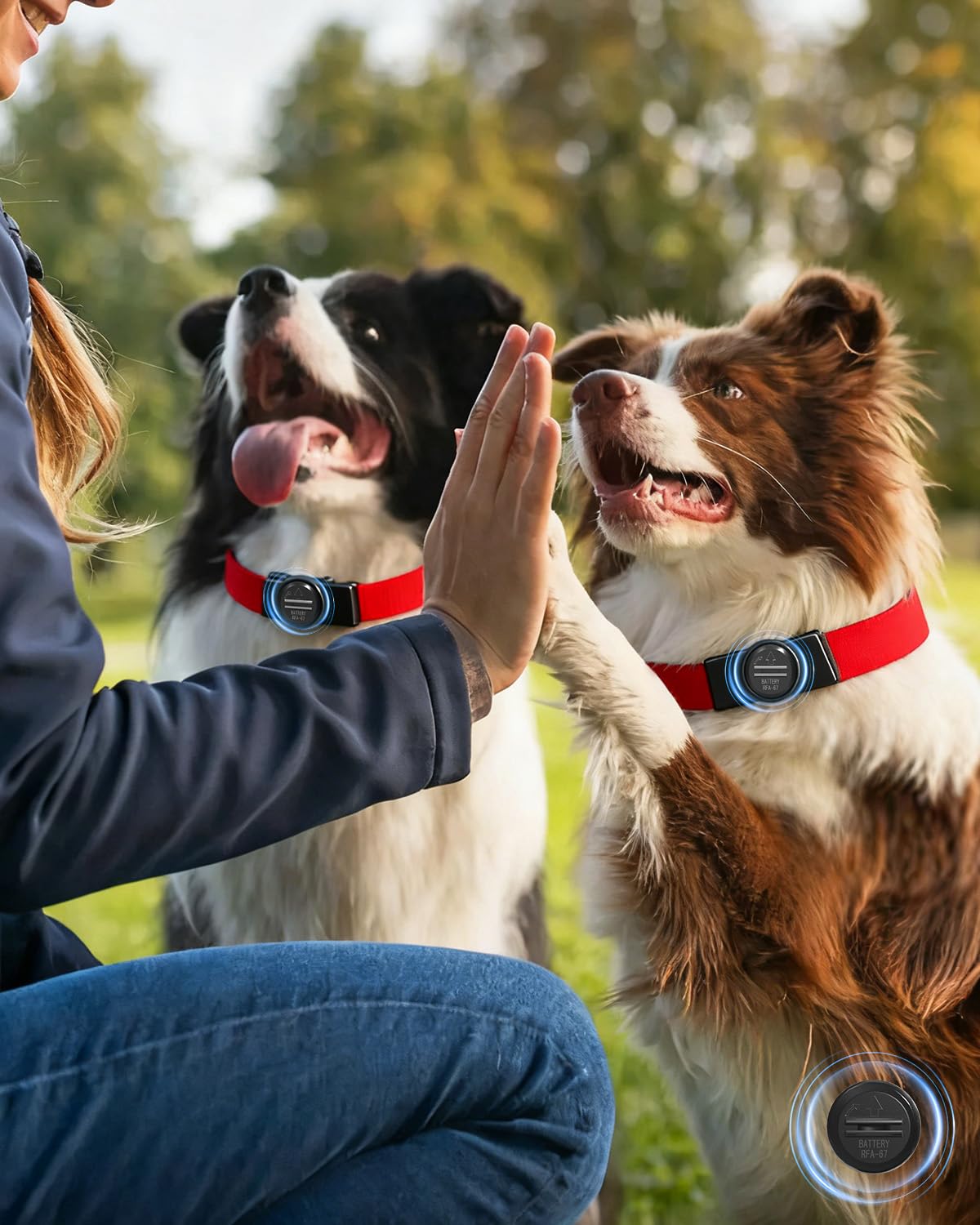 Idéal pour activités en plein air: résistant à l'eau et jeu avec chien