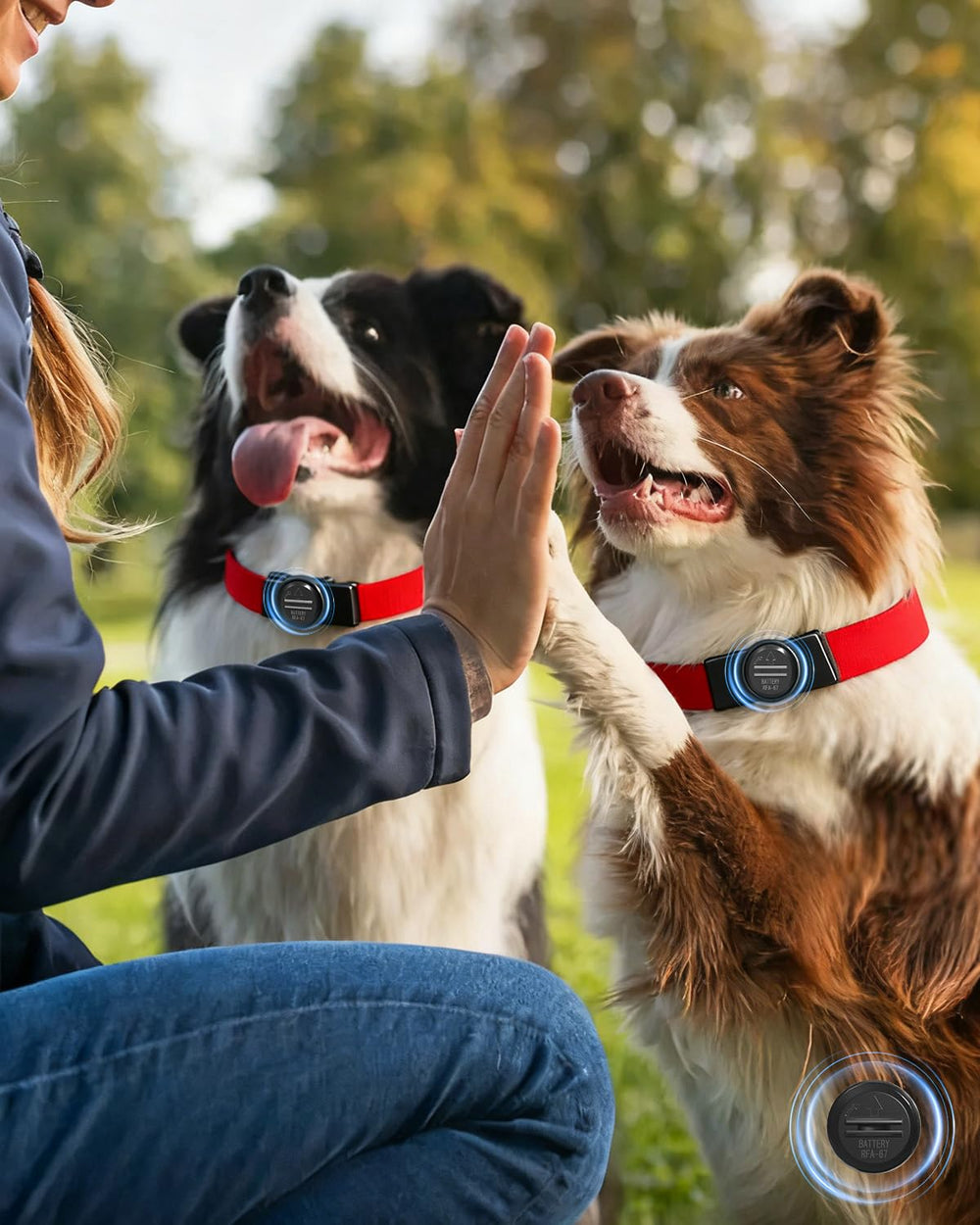 Idéal pour activités en plein air: résistant à l'eau et jeu avec chien