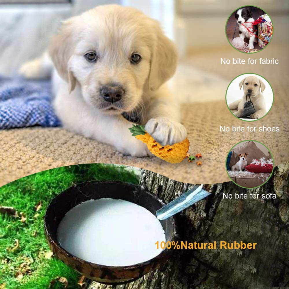 Exemple de test: berger allemand et labrador sur le jouet LPHSNR