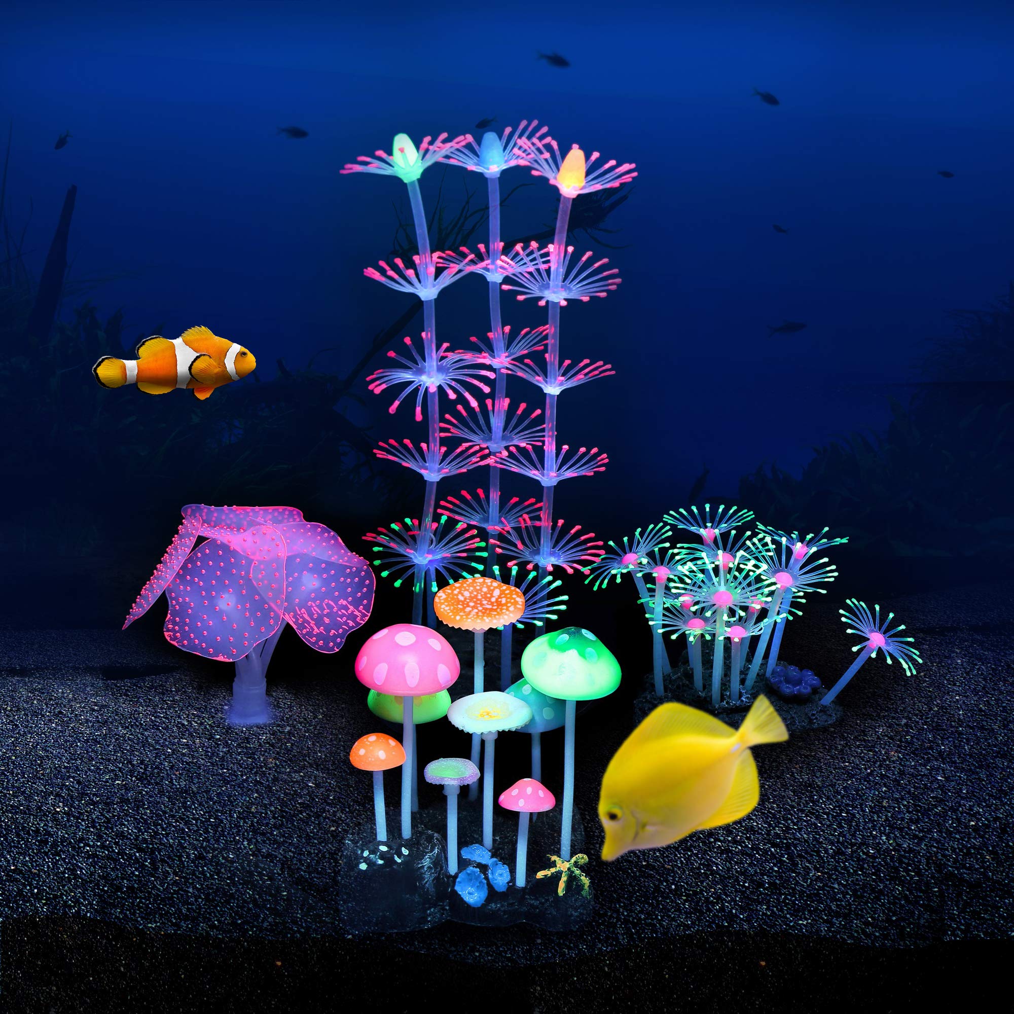 Lpraer Compatible eau salée et eau douce pour tous les aquariums