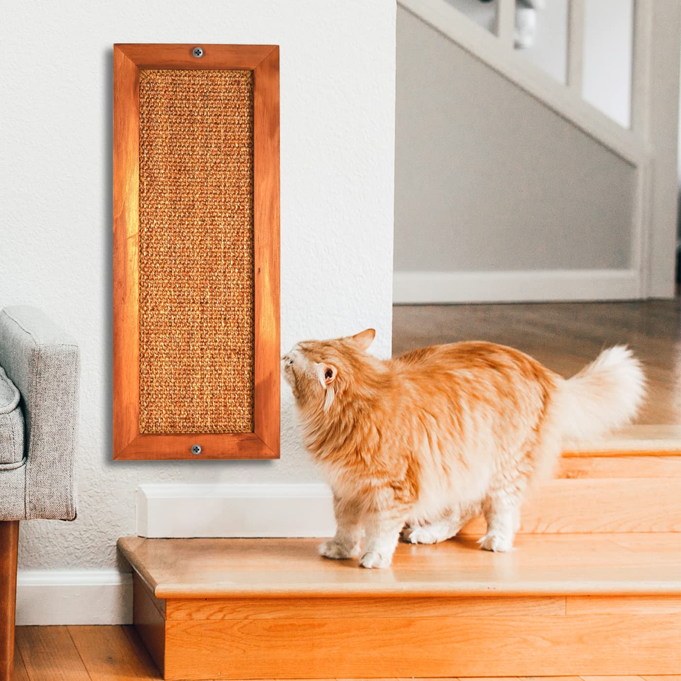 lsaifater confort-chat, surface agréable et griffage réel.