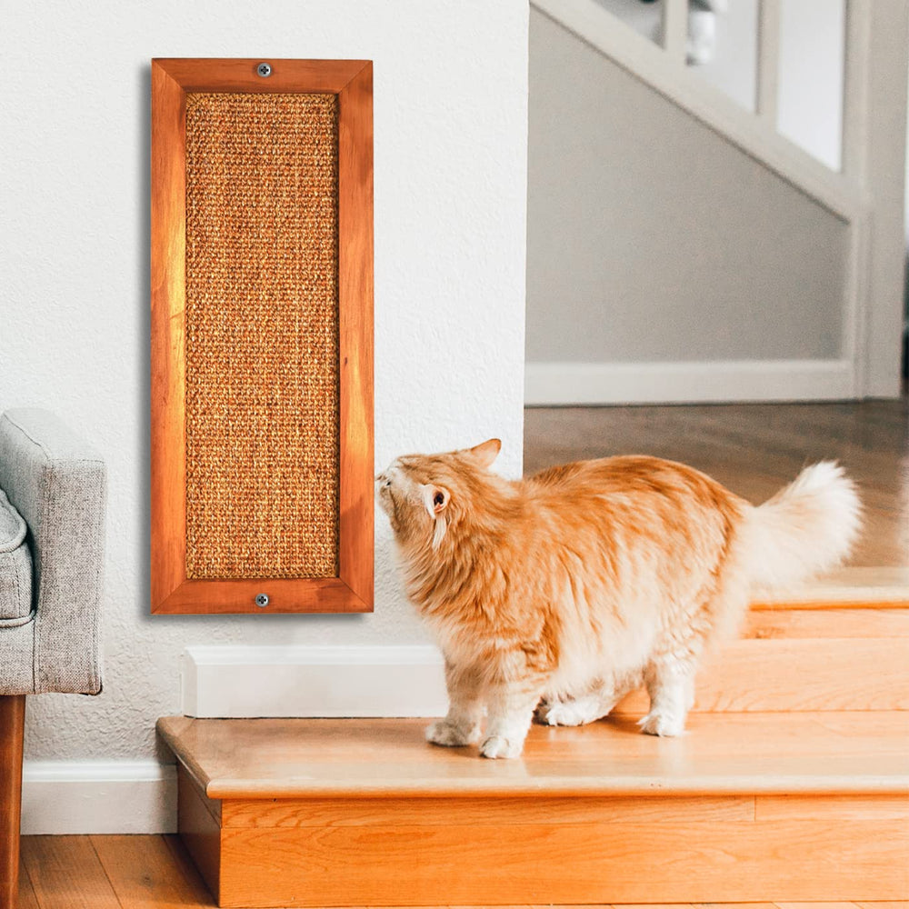 lsaifater confort-chat, surface agréable et griffage réel.