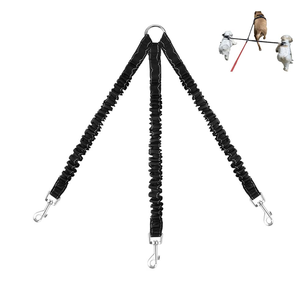 LTSGORY couplateur trio pour chiens avec élastique, promenade confortable.