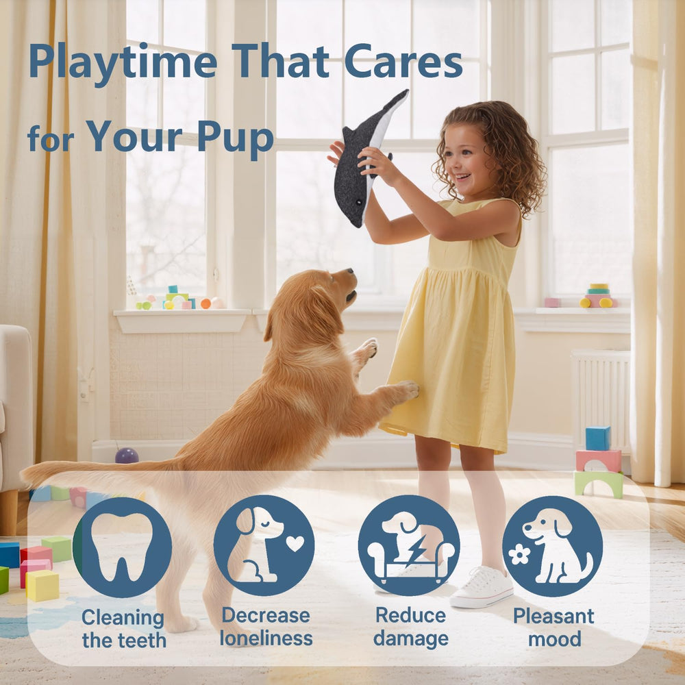 Luampo, cadeau idéal pour chien, promet du plaisir durable et un compagnon fidèle.