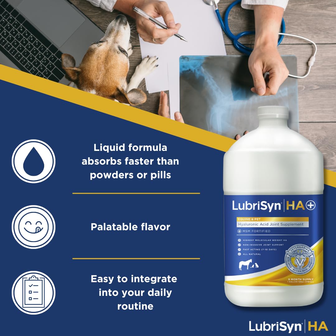 LubriSynHA – doseur pour mesure précise du liquide articulations.