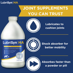 LubrisynHA flacon articulation en mouvement et confort quotidien.