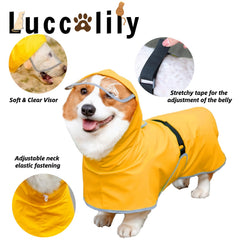 Luccalily poche ventrale pratique pour friandises lors des balades
