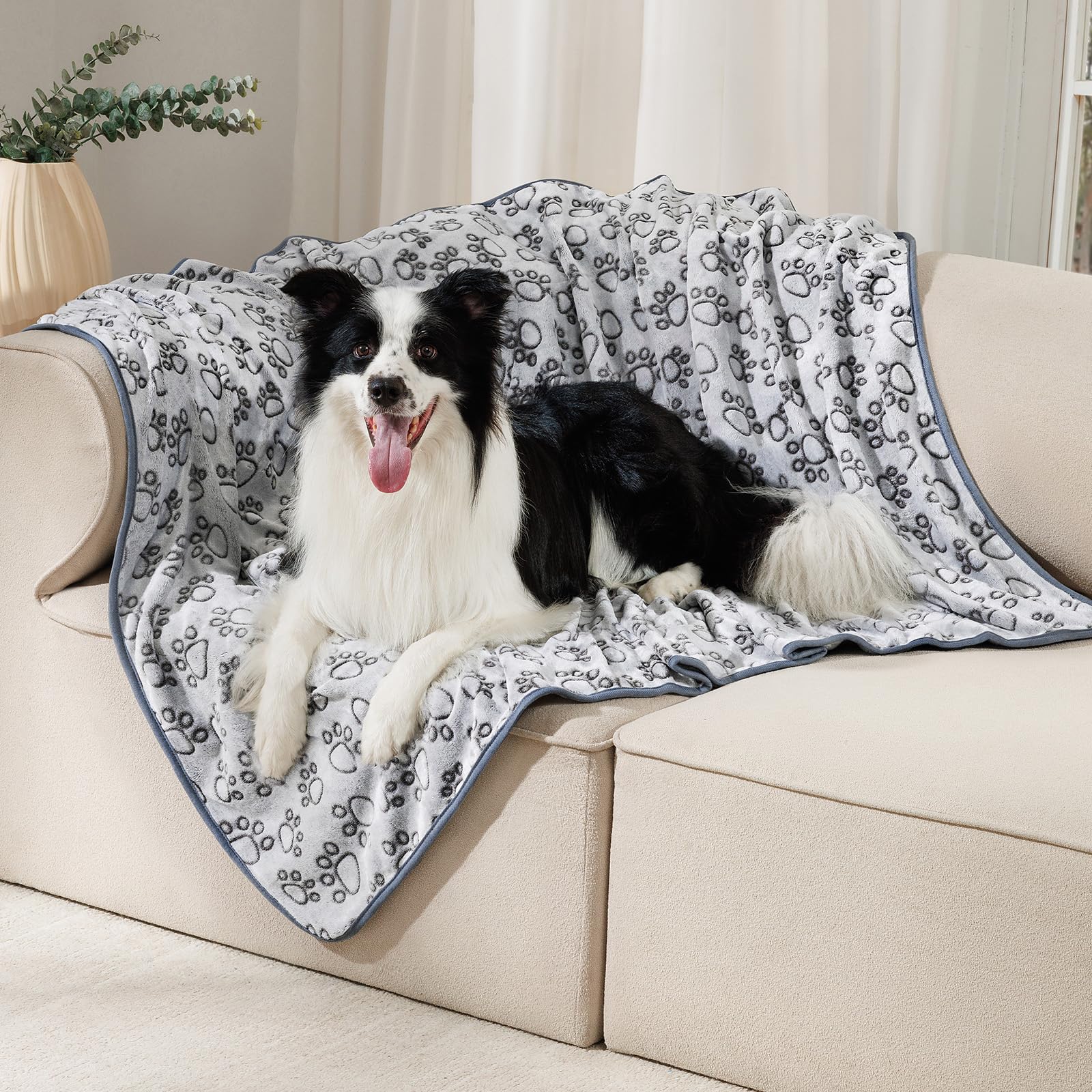 Luciphia: grande taille 104 x 79 cm adaptée aux grands chiens.