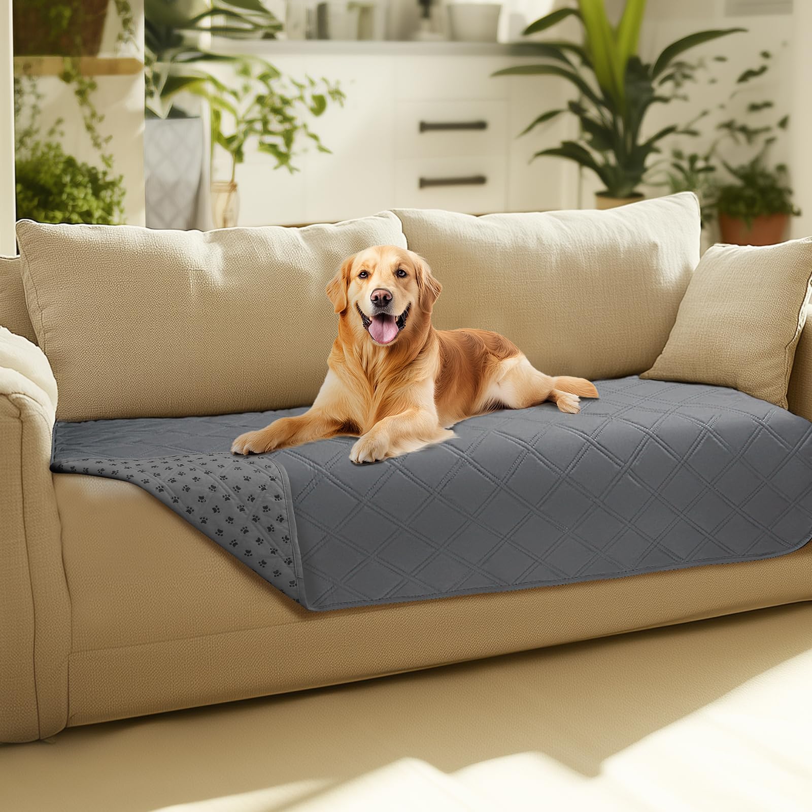 Luciphia Couverture Canapé Impermeable Chien: protection nette et confortable pour le salon.