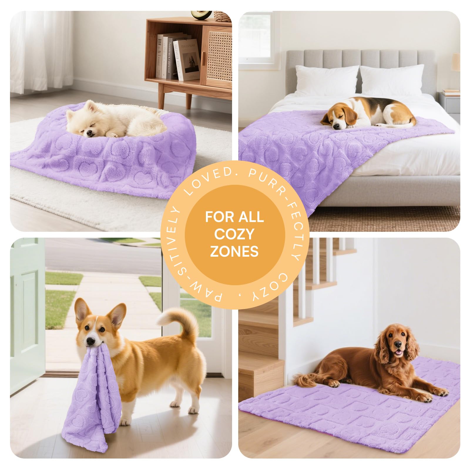 Luciphia, couverture chat doux sherpa, chaleur agréable pour soirées cocooning.