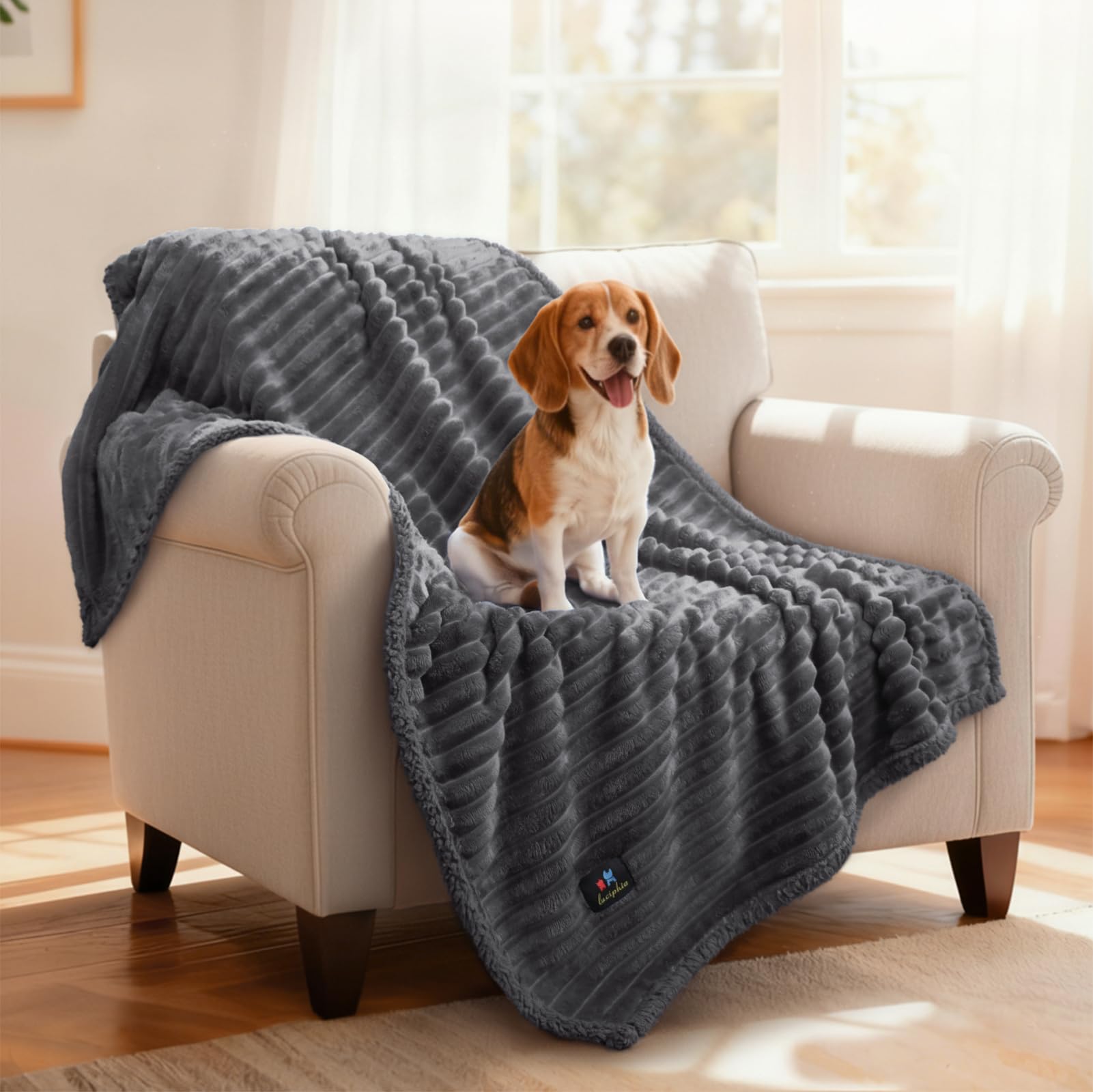 Couverture Luciphia pour chien: douceur flanelle double-face et câlins réconfortants