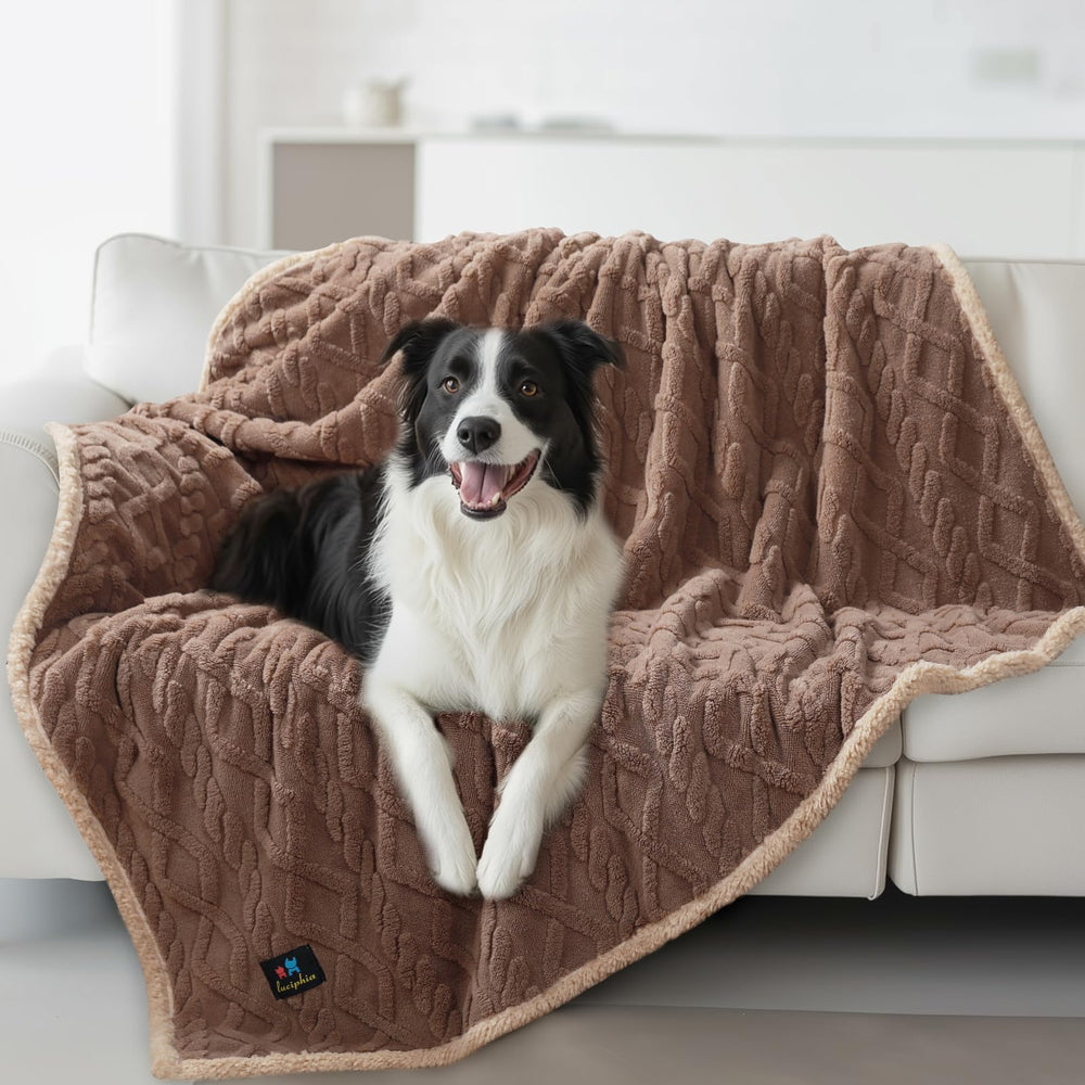 Luciphia couverture imperméable pour animaux sur canapé, protège des taches.