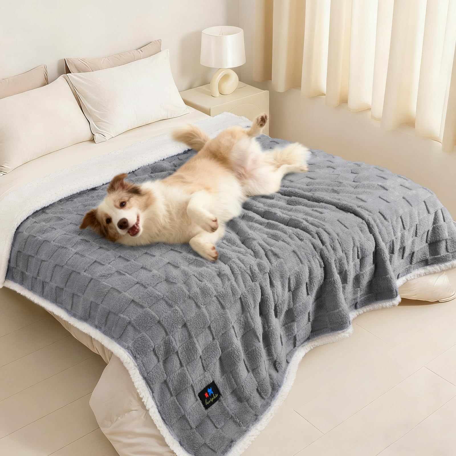 Luciphia couverture imperméable pour chien protège canapé et lit.