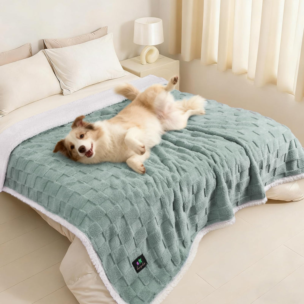 Luciphia: couverture imperméable pour chien, face avant protégeant le canapé.